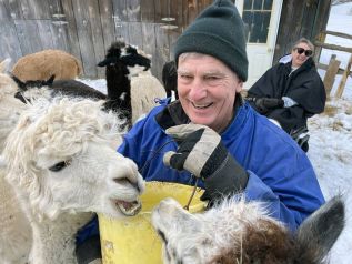 Mike Gervais feeds the alpacas at Hidden Meadows Alpacas in Seeley’s Bay.